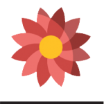 Mayo Eventos Marketing Digital