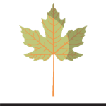 Octubre Eventos Marketing Digital